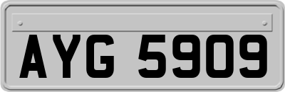 AYG5909