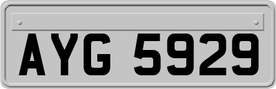 AYG5929