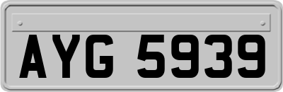 AYG5939