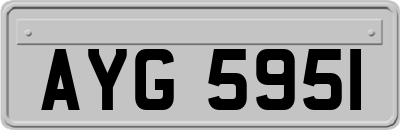 AYG5951