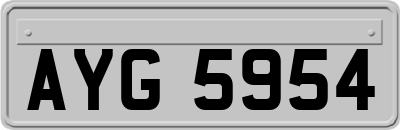 AYG5954