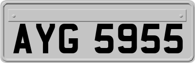 AYG5955