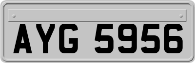 AYG5956