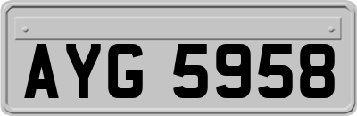 AYG5958