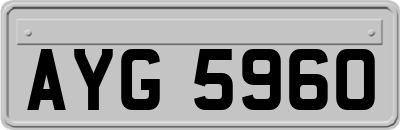 AYG5960