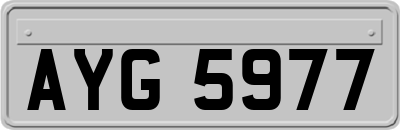 AYG5977