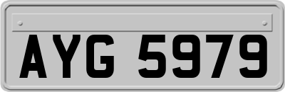 AYG5979
