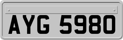 AYG5980