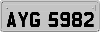 AYG5982