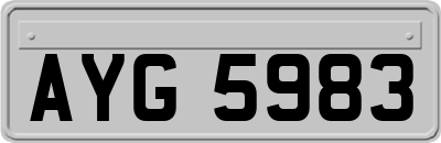AYG5983