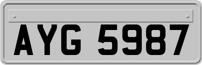 AYG5987