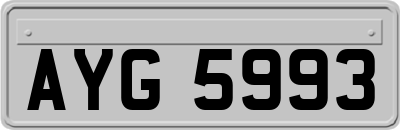 AYG5993