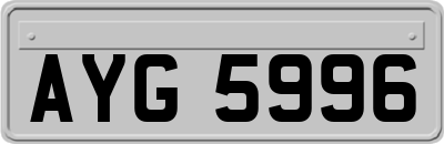 AYG5996