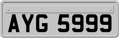 AYG5999