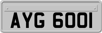 AYG6001