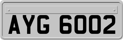 AYG6002
