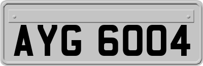 AYG6004