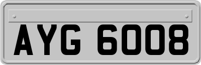 AYG6008