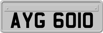 AYG6010
