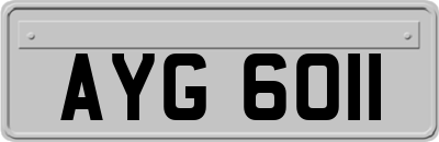 AYG6011
