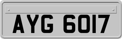 AYG6017