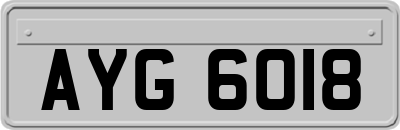 AYG6018