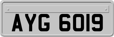 AYG6019