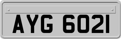 AYG6021