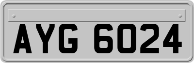 AYG6024