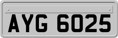 AYG6025