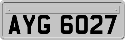AYG6027