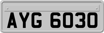 AYG6030