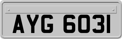 AYG6031