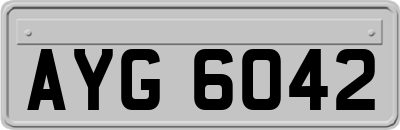 AYG6042
