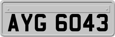 AYG6043