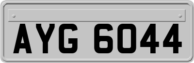 AYG6044
