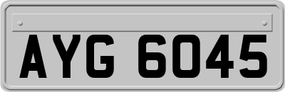 AYG6045