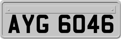 AYG6046