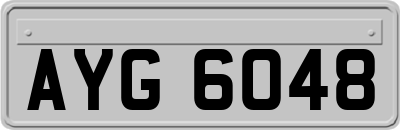 AYG6048