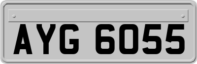 AYG6055