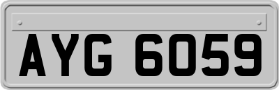 AYG6059