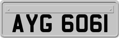 AYG6061