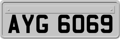 AYG6069