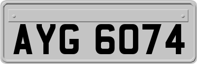 AYG6074
