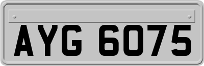 AYG6075