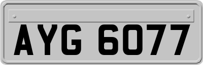 AYG6077