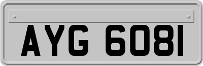 AYG6081