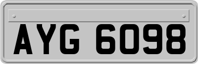 AYG6098
