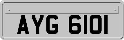 AYG6101