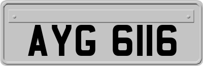 AYG6116